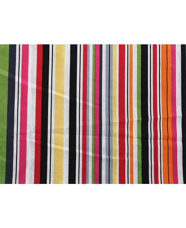 Multi Stripe Printed Canvas