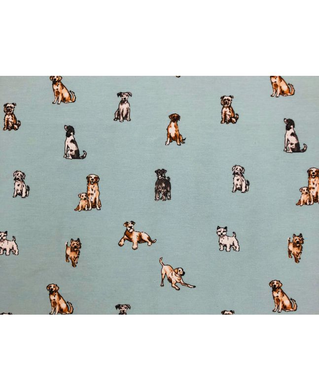 Cotton Rich Panama Canvas, Shabby Dogs, Duck Egg