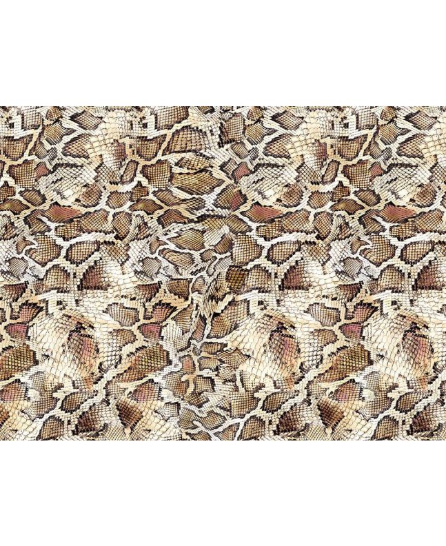 Craft Collection Cotton Print, Animal Magic Snake