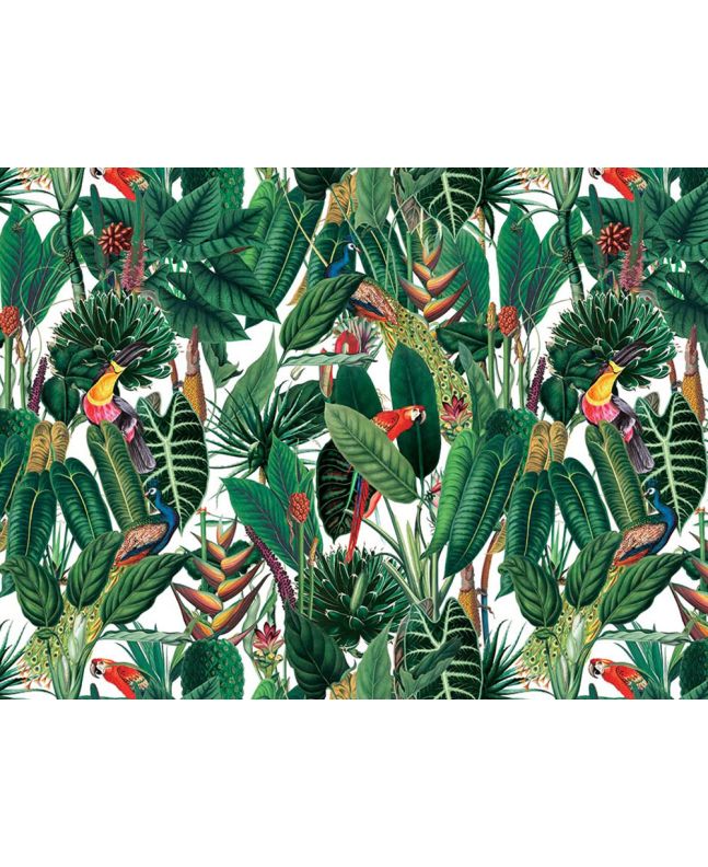Exotic Jungle Cotton Print, Rain Forest Birds, White