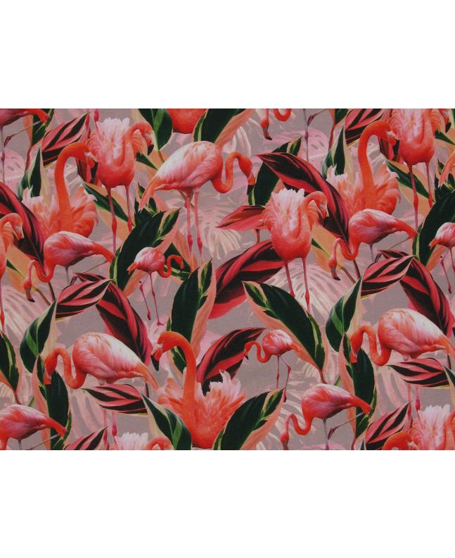 Flamingo Flock Cotton Jersey, Light Pink
