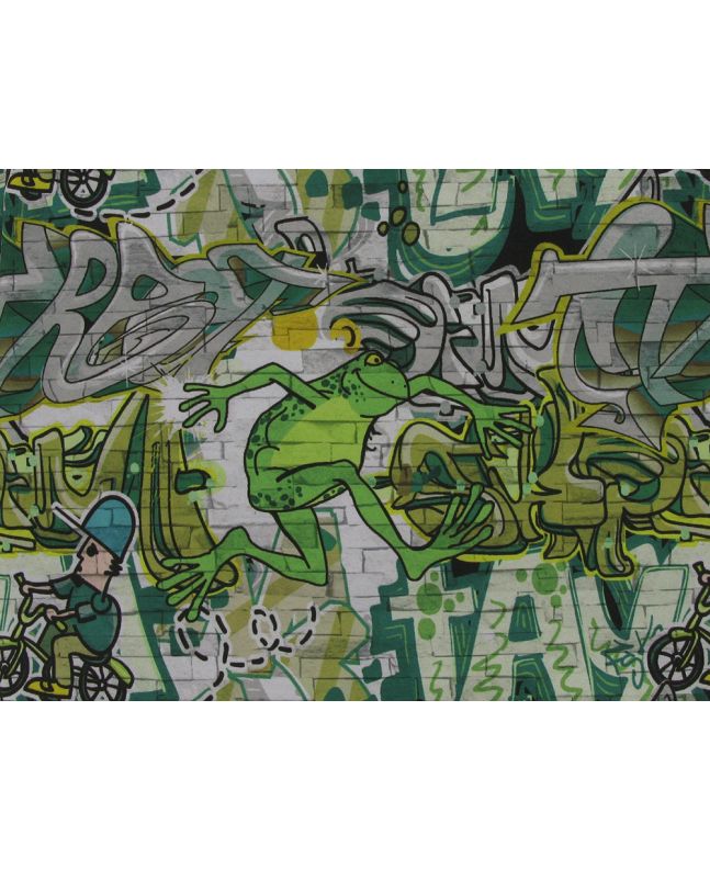 Fleeced Backed Showerproof Soft Shell, Graffiti Frog