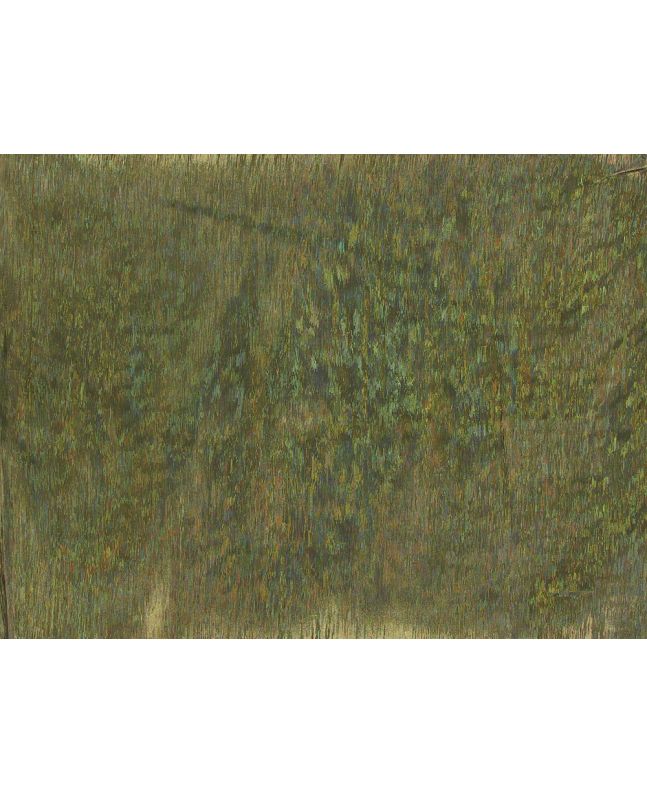 Hologram Lame - Gold Black