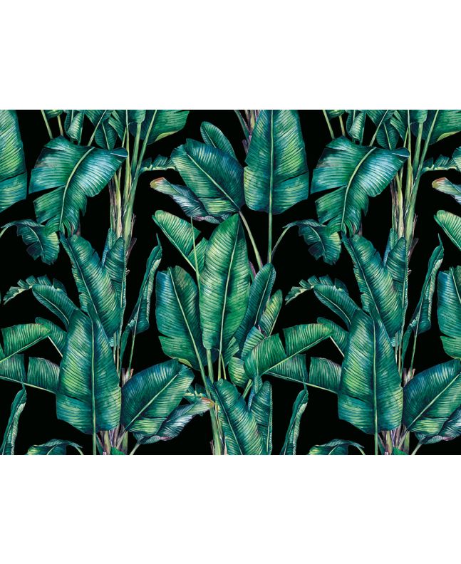 Paradise Palm Printed Velvet, Black