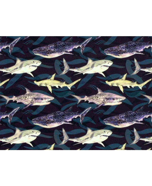 Sharks and Whales UPF50 Swimwear Jersey, Navy