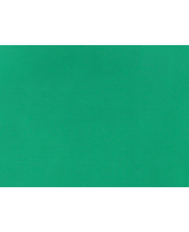 Stiff Silk Organza, Light Green