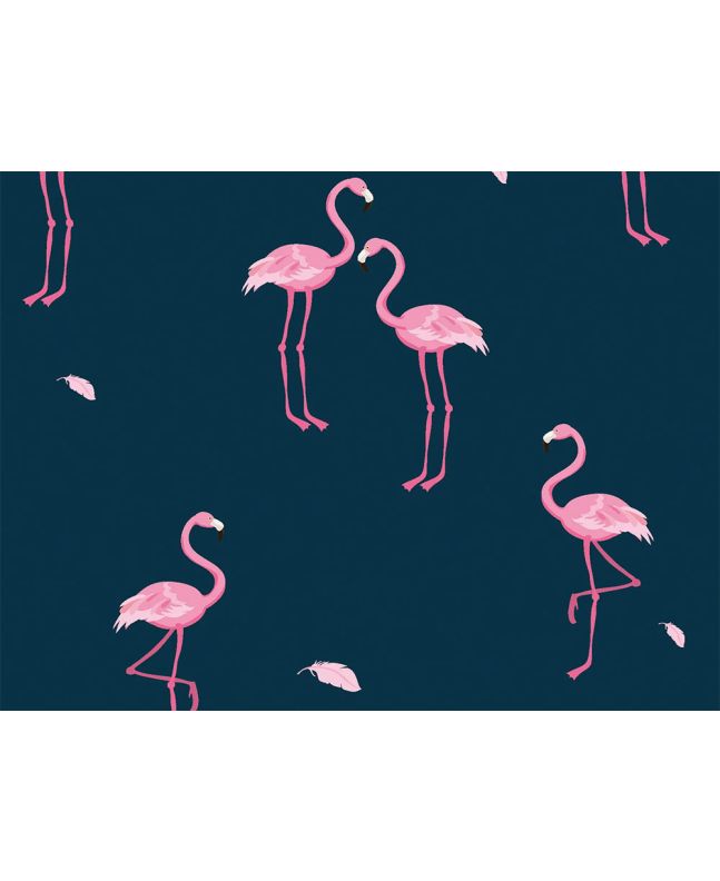 Waterproof Protect Coating, Flamingos