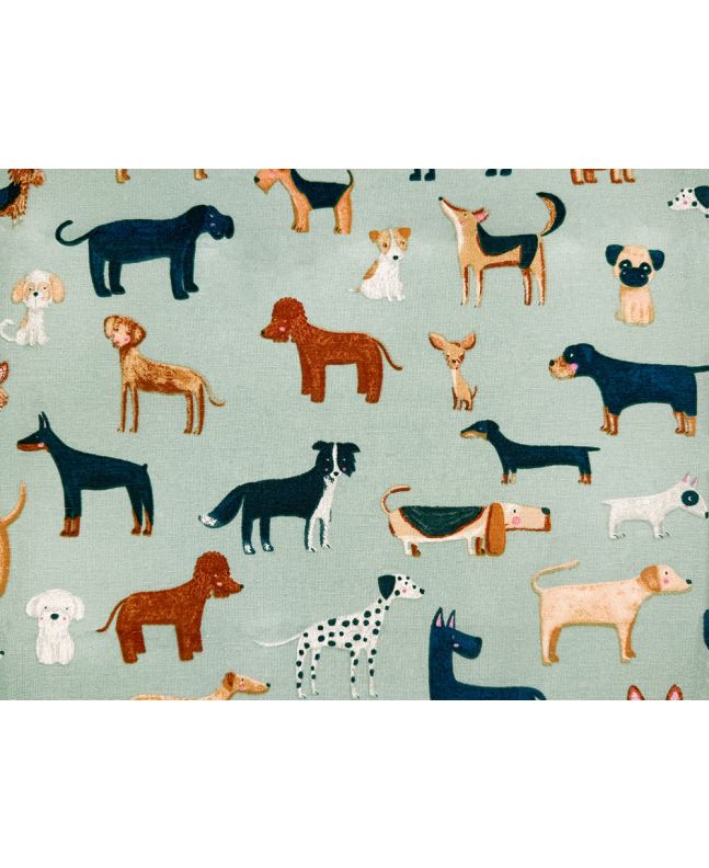 Woof Cotton Canvas, Duck Egg