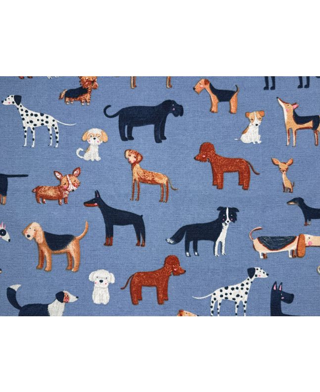 Woof Cotton Canvas, Sky