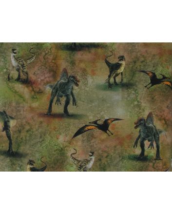 Jurassic Park Dinos French Terry, Olive