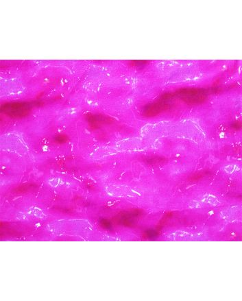 Neon Slime Cotton Jersey