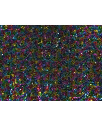 Rainbow Sequin Patch on Mesh