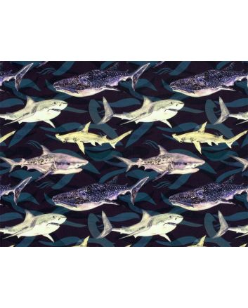 Sharks and Whales UPF50 Swimwear Jersey, Navy