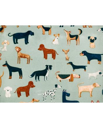 Woof Cotton Canvas, Duck Egg