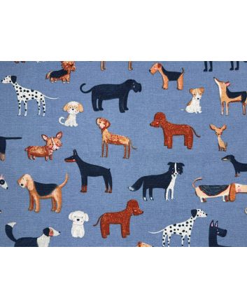 Woof Cotton Canvas, Sky